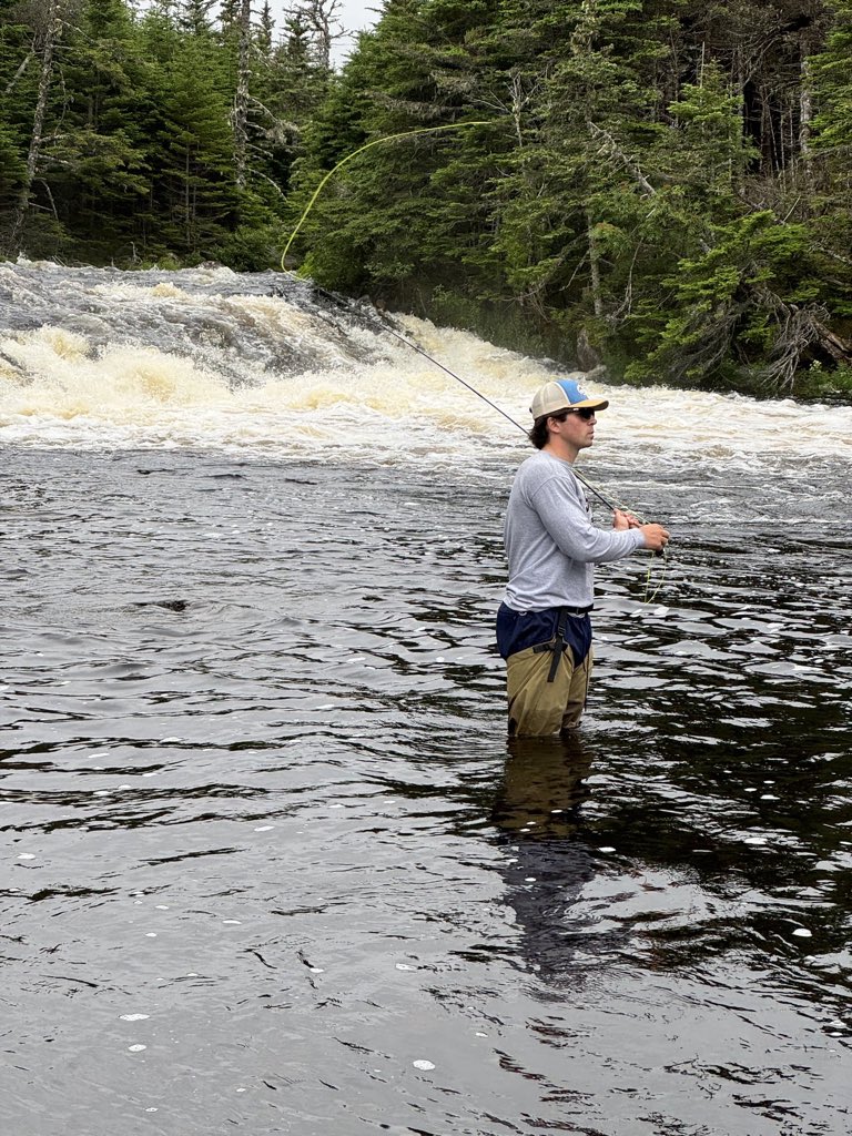 Shawn Newhook tweet media