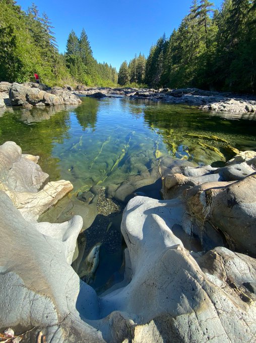 I disappeared for a bit to go on a trip out into the wilderness, it was incredible and serene and beautiful<a href="/tag/nsfw"class="tags"><span>#nsfw</span></a><a href="/tag/footjob"class="tags"><span>#footjob</span></a><a href="/tag/enf"class="tags"><span>#enf</span></a><a href="/tag/embarrassednakedfemale"class="tags"><span>#embarrassednakedfemale</span></a>