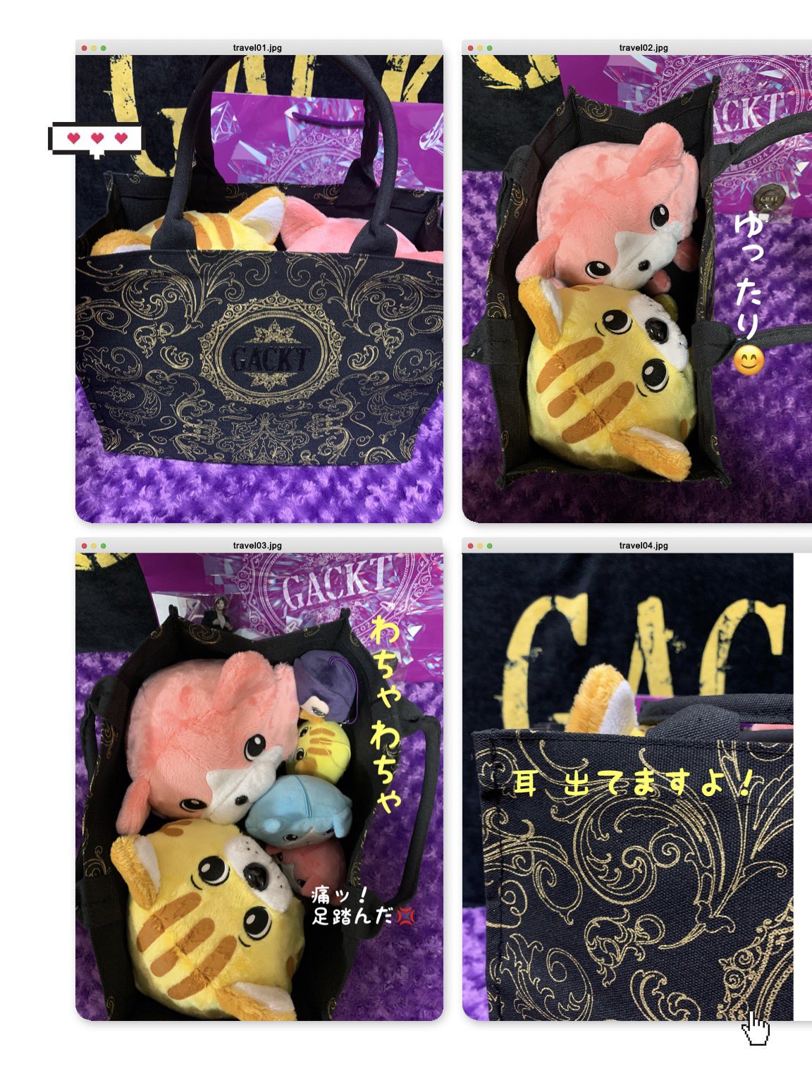 GACKT生誕祭グッズ - অনুসন্ধান / X