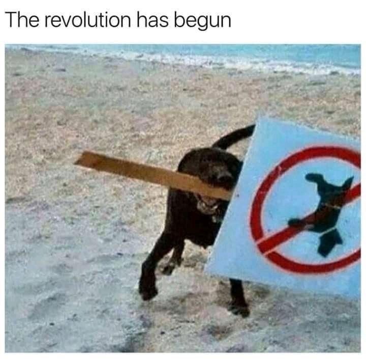 Ur_a_Smartass_C's tweet photo. Be ungovernable https://t.co/H2aOOF32VO