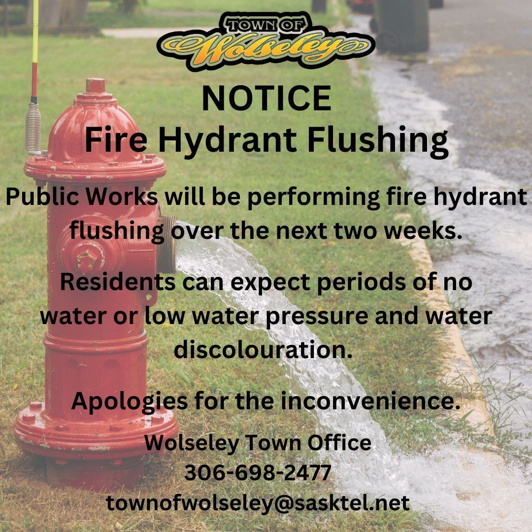 Starting on Monday, July 8, Public Works staff will begin their annual Fire Hydrant Flushing. This process will take approximately  two weeks to finish.

Residents can expect:
💧 Periods of no water
💧 Low water pressure
💧 Water discolouration  

Apologies for the inconvenience.