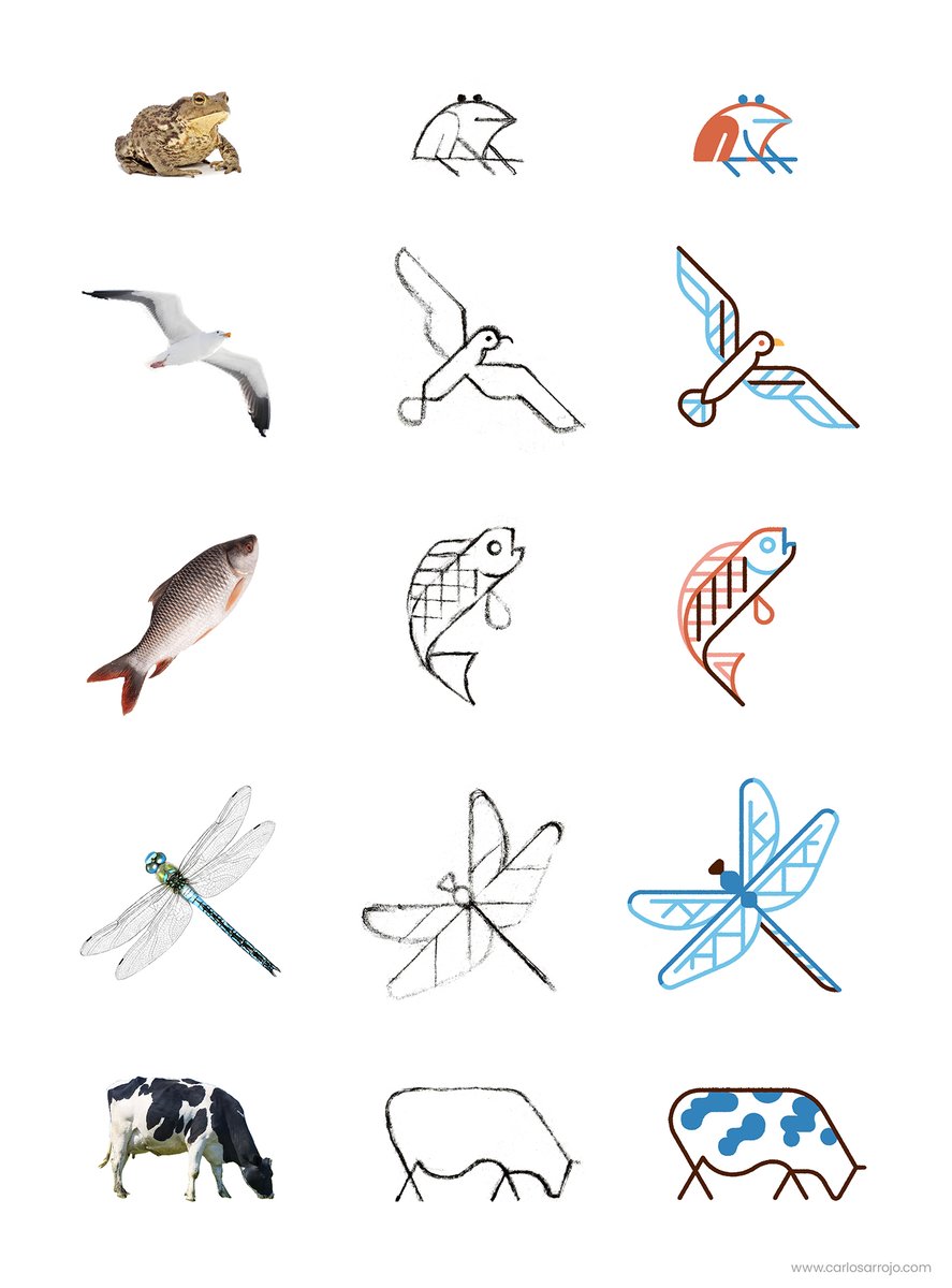 Proceso de síntesis geométrica de ilustraciones de fauna para <a href="/paradores/">Paradores de Turismo</a>: sapo, gaviota, carpa, libélula y vaca.

Proyecto completo en <a href="/Behance/">Behance</a>: behance.net/gallery/112036…

#illustration #draw #sketch #geometry #design #nature #lineart #vector