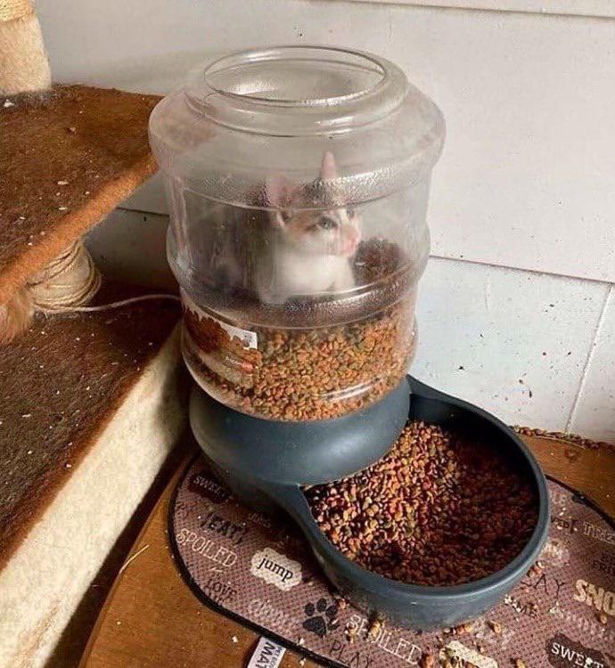 he has it all - but it cost him everything