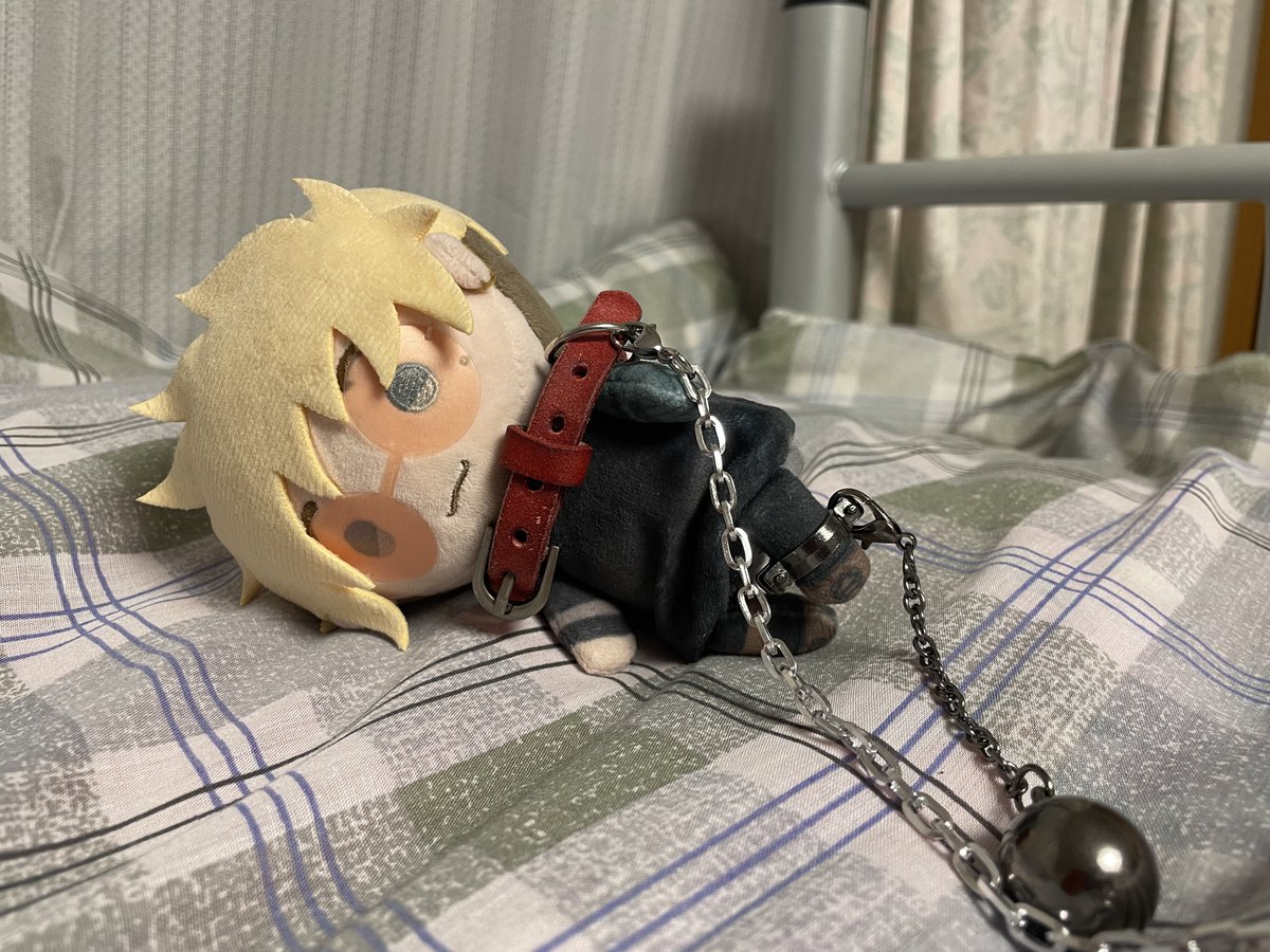 虎之介 tweet media