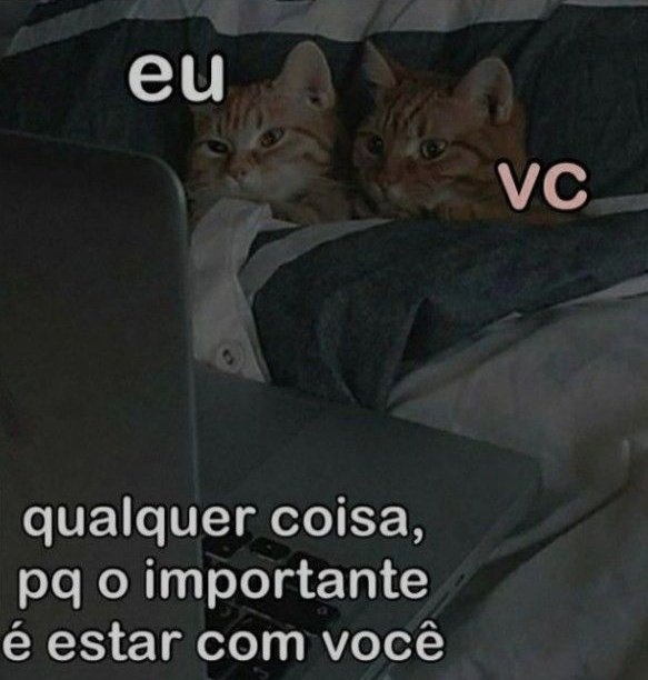 Memes para marcar ele(a) (@memeparaoarroba) on Twitter photo 