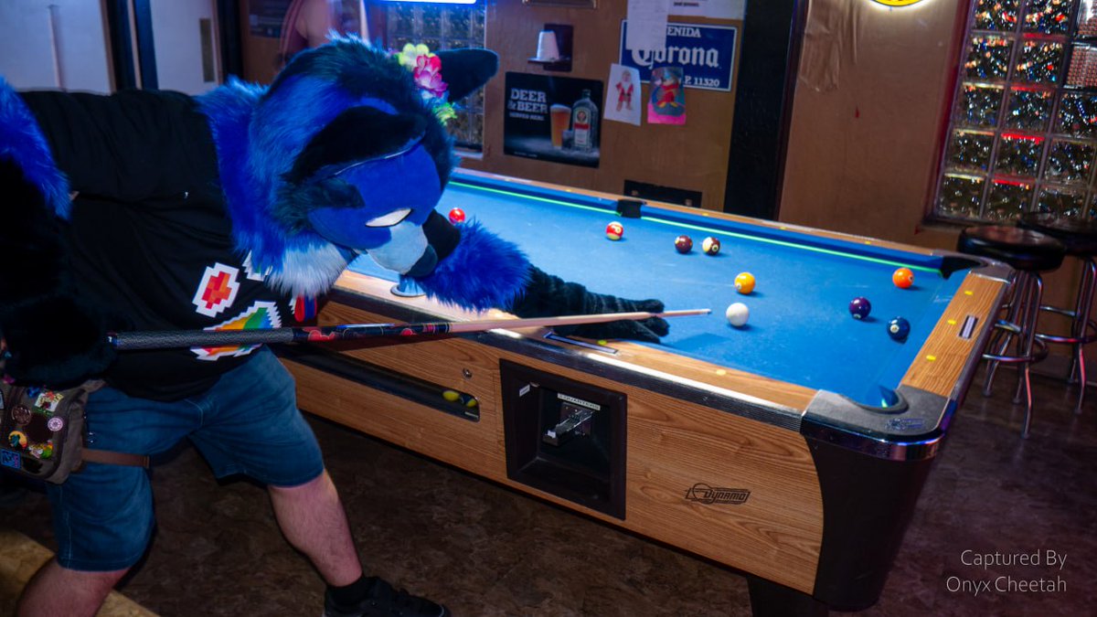 PerseidHusky's tweet photo. Gotta focus my aim. Playing pool is fun!

(Spoilers: I lost badly. There were just too many balls to shake my stick at!)

#FursuitFriday 

📷: @OnyxCheetah https://t.co/ZsC05TomM6