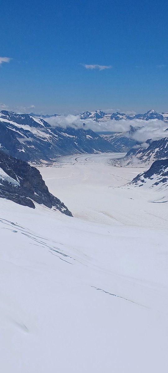 Saurabh Vijay (@saurabhvergia) on Twitter photo Can you detect light pink/orange ice? These dust particles are coming all the way from Sahara Desert, Africa and depositing over glaciers in European Alps.
Found during our excursion to Aletsch Glacier (3800 m asl) with <a href="/matthias_huss/">Matthias Huss</a> and ETERNALHIMA Team <a href="/iitroorkee/">IIT Roorkee</a> <a href="/moesgoi/">MoES GoI</a> Can you detect light pink/orange ice? These dust particles are coming all the way from Sahara Desert, Africa and depositing over glaciers in European Alps.
Found during our excursion to Aletsch Glacier (3800 m asl) with <a href="/matthias_huss/">Matthias Huss</a> and ETERNALHIMA Team <a href="/iitroorkee/">IIT Roorkee</a> <a href="/moesgoi/">MoES GoI</a>
