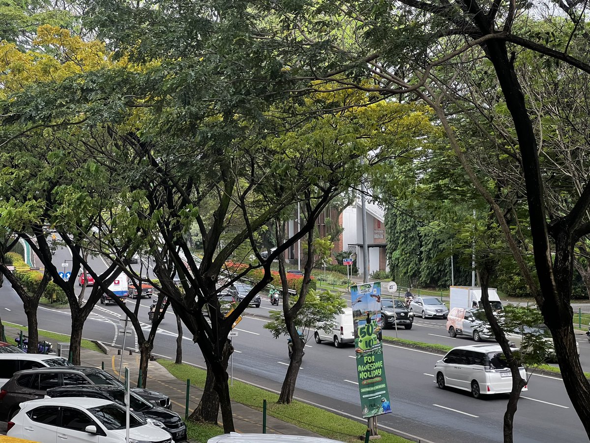 I’ve a deep appreciation for Bintaro, especially on days like today with its gentle rain. The city boasts wide roads &amp; manageable traffic, set against lush greenery. Though compact, it offers diverse culinary options, nearby hospitals &amp; all essential amenities. Truly unparalleled