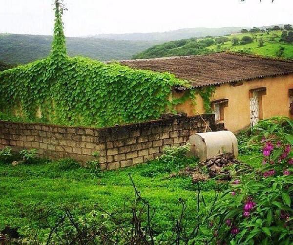 ساعدونا بالنشر لنجعل هذه التغريده تحطم كل مقايس الترويج لـ #خريف_ظفار24

إعادة التغريد بمثابة دعمك للسياحة العُمانية🇴🇲 🌴