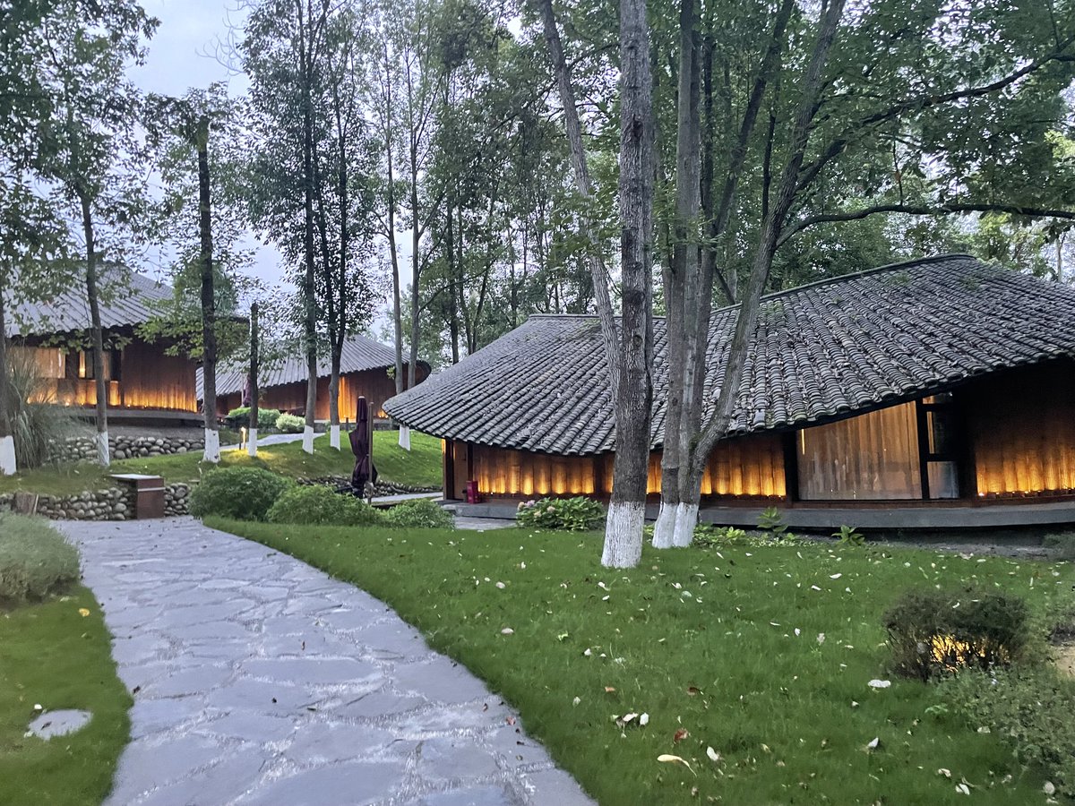 Yasushi2Ikeda's tweet photo. フィリップ・ユエン先生の作品の中でも特に素晴らしいと思った竹林の中の宿泊施設　思い切った形態を使いながらも地域の自然にも馴染んでいる https://t.co/INfxa1TID6