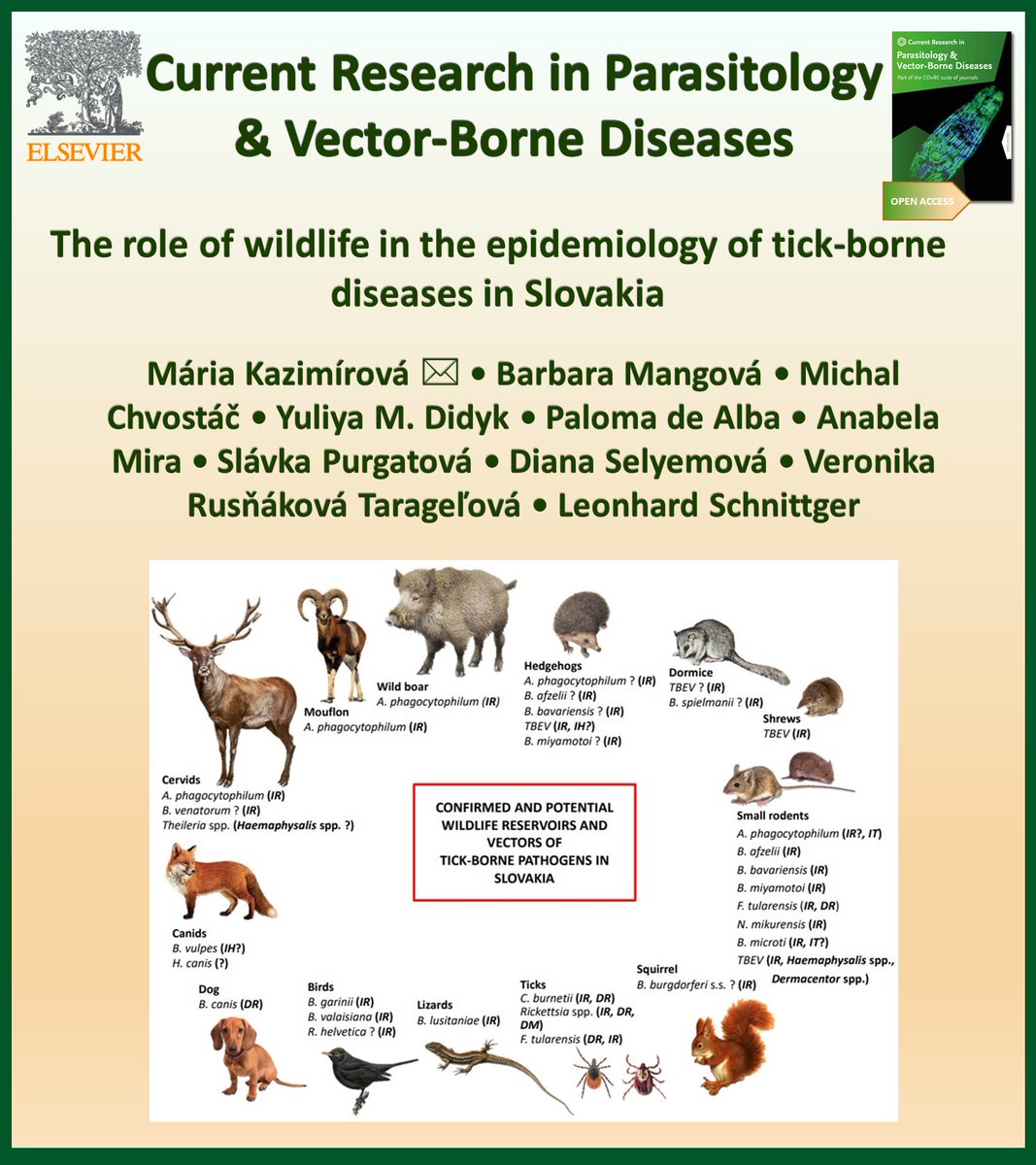 Aneta Kostadinova (@anetkostadinova) on Twitter photo Celebrating #WorldZoonosesDay 2024 with <a href="/CRPVBD/">CR in Parasitology & Vector-Borne Diseases</a>
#OpenAccess
▶️sciencedirect.com/science/articl…
📌 Wild terrestrial vertebrates are involved as reservoirs in cycles of tick-borne zoonotic pathogens in Slovakia.
📌 Wildlife plays a role in the geographical spread of infected ticks and Celebrating #WorldZoonosesDay 2024 with <a href="/CRPVBD/">CR in Parasitology & Vector-Borne Diseases</a>
#OpenAccess
▶️sciencedirect.com/science/articl…
📌 Wild terrestrial vertebrates are involved as reservoirs in cycles of tick-borne zoonotic pathogens in Slovakia.
📌 Wildlife plays a role in the geographical spread of infected ticks and