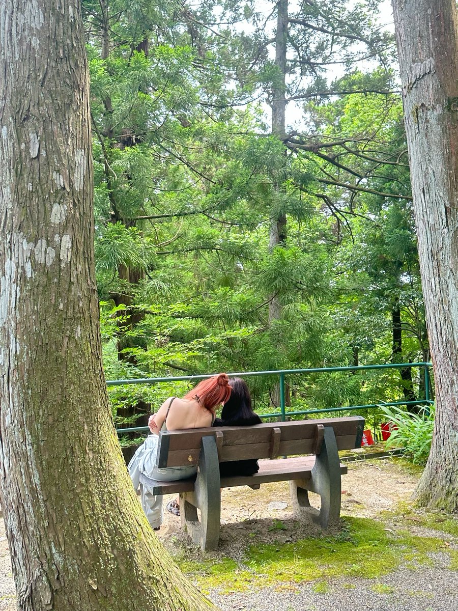 sammysammauy's tweet image. 🌳🌲🪸🐟🌊