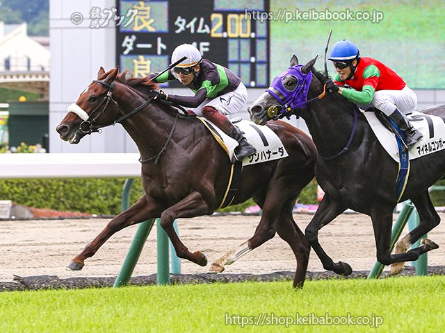 keibabookshop's tweet photo. ㊗️おめでとうございます📷写真をどうぞ
#シンハナーダ の3歳未勝利 2024年7月6日福島4R
騎手： #三浦皇成 生産者： #ノーザンファーム（安平）#競馬 #keiba https://t.co/6cfv4YzUAe