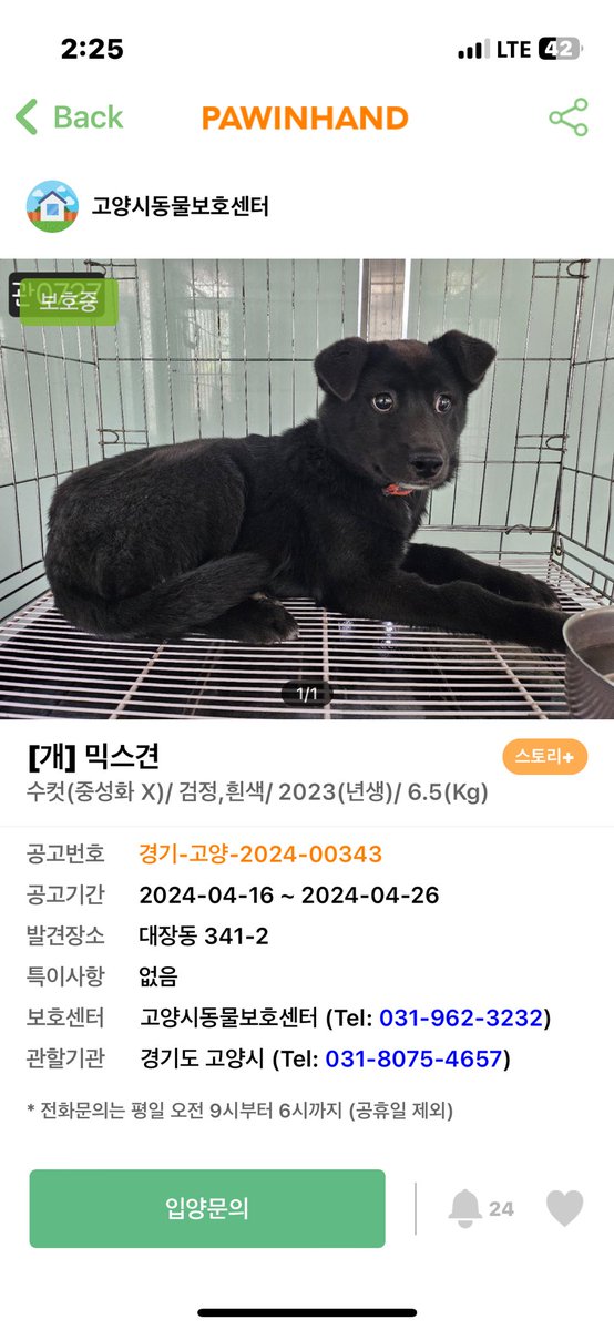 MianSasil9Raim's tweet image. 야 너 어뜨케 눈이 일케 이뻐