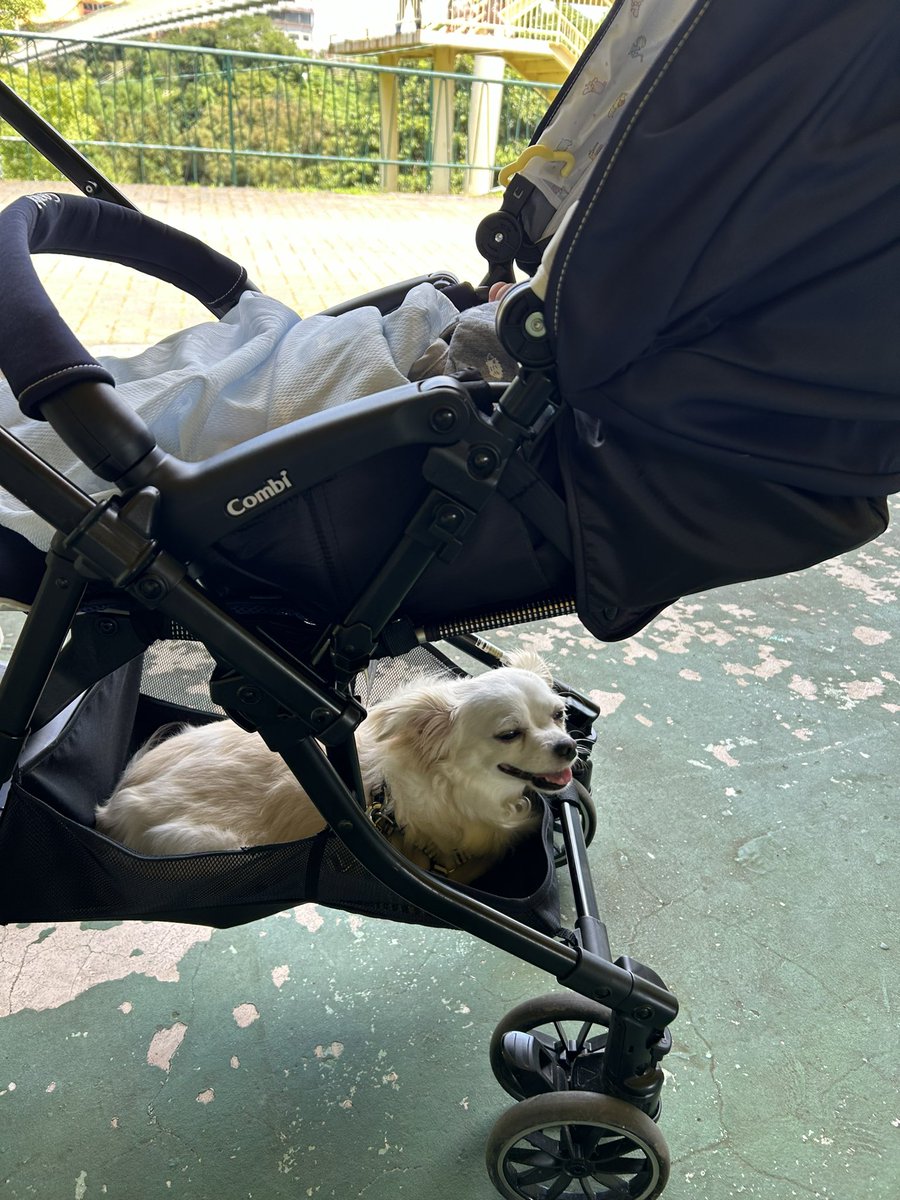 comcomcomg's tweet image. これにのって みんなでおでかけするのは たのしいね