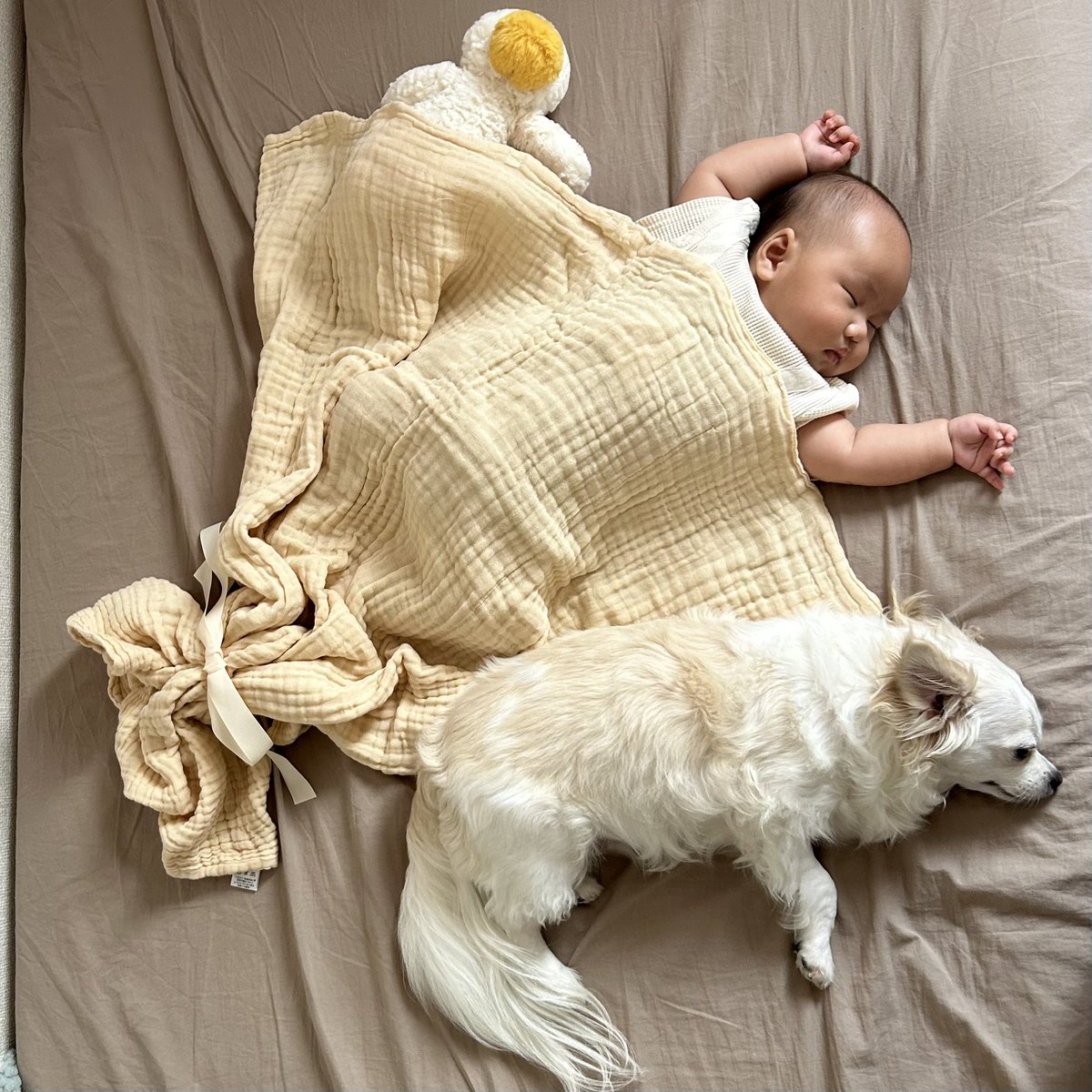 comcomcomg's tweet image. おとうとばっかり見てるから ぼくもとなりにねてみた