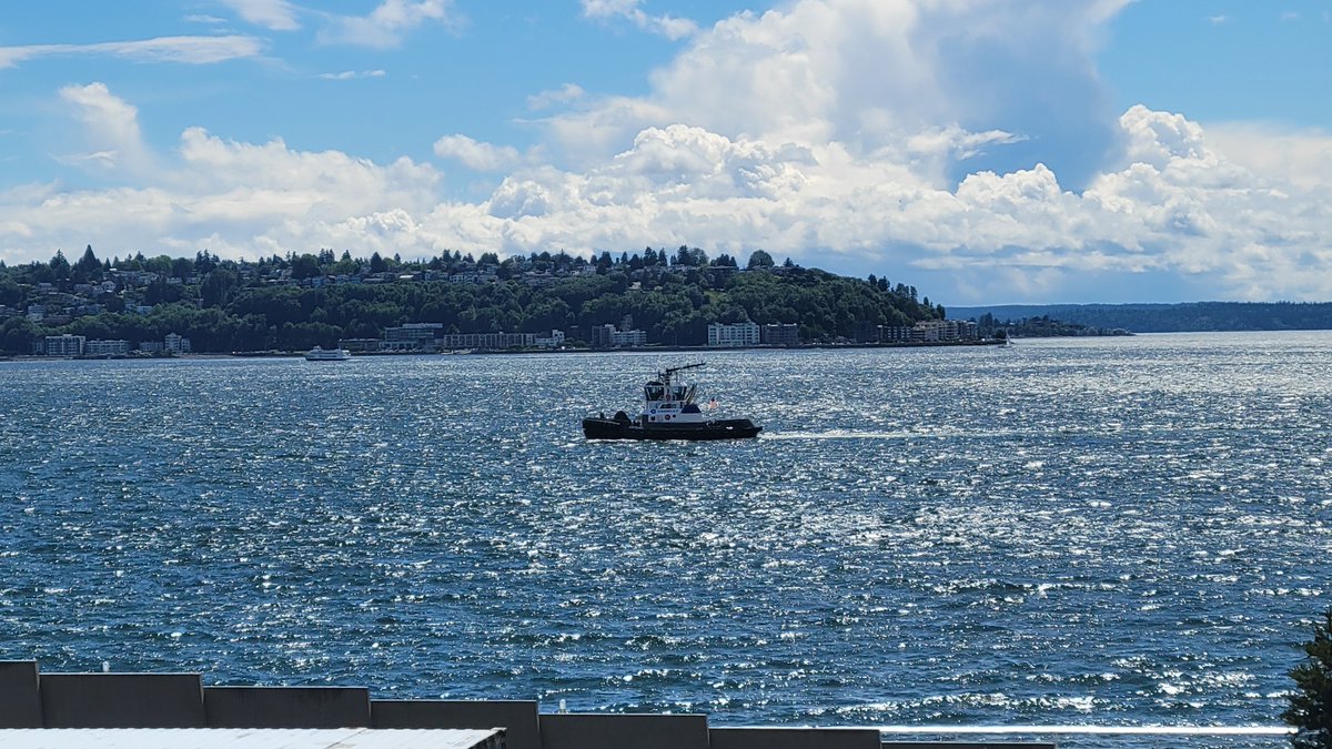 curj_design's tweet photo. Some Seattle/Washington photography bc all my work is still NDA: https://t.co/KHhtwqvtWG