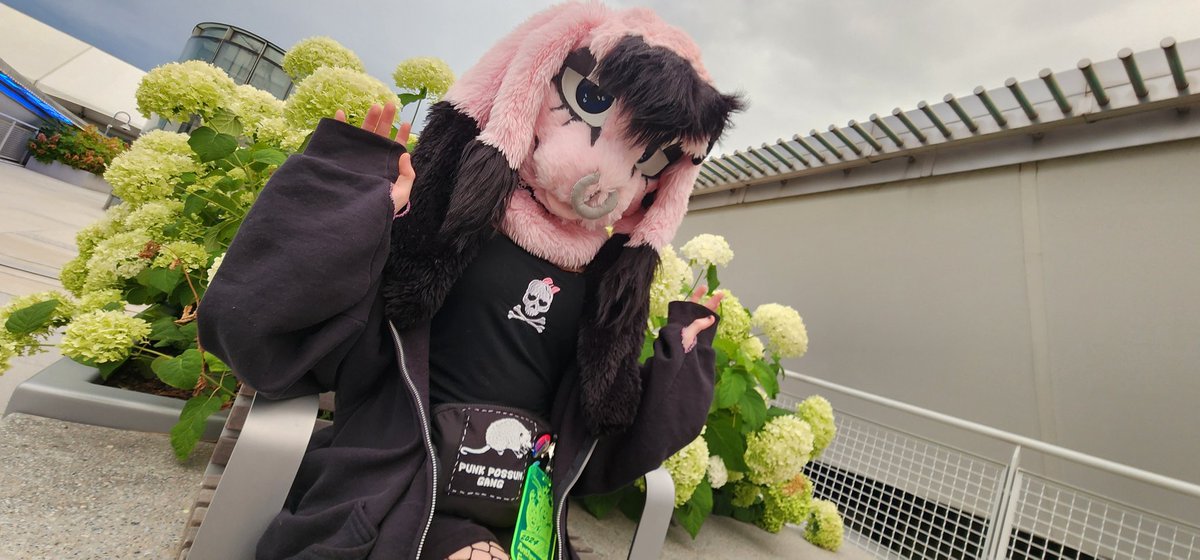 Spooky Fox🔜AC2025 tweet media