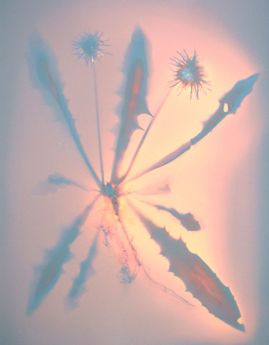 ِ (@controdicting) on Twitter photo 