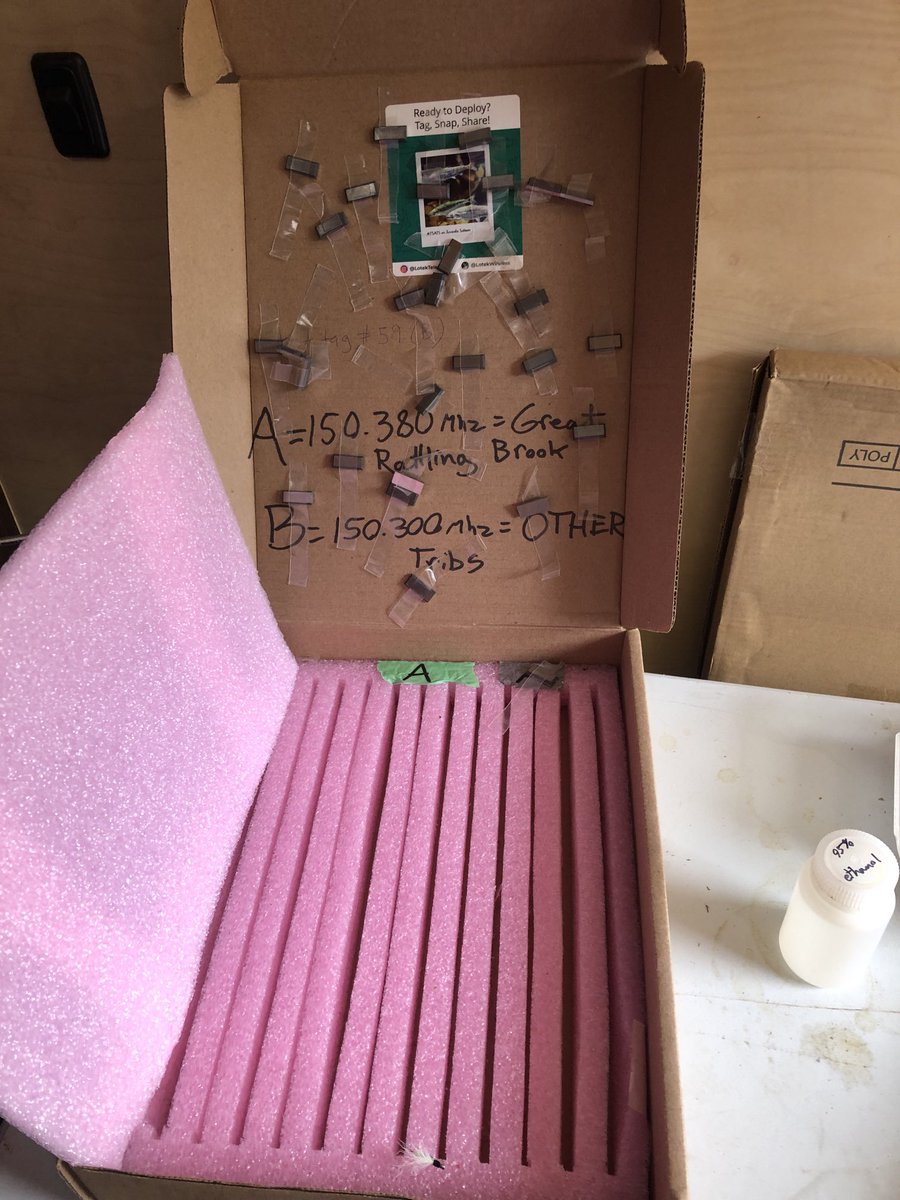 Craig Purchase tweet media