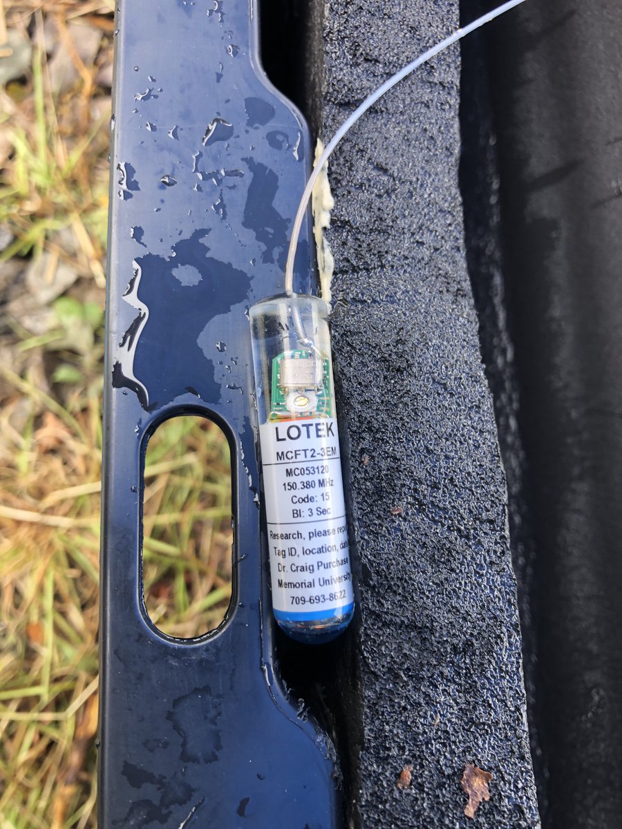 Craig Purchase tweet media