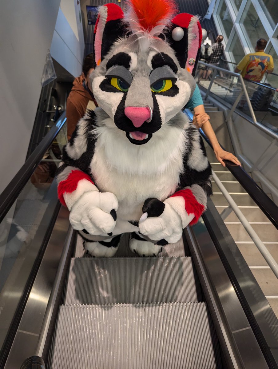 So proud of <a href="/wynterroxx/">✨Wynter!✨</a> conquering their fears of the escalator a year after "The Incident"