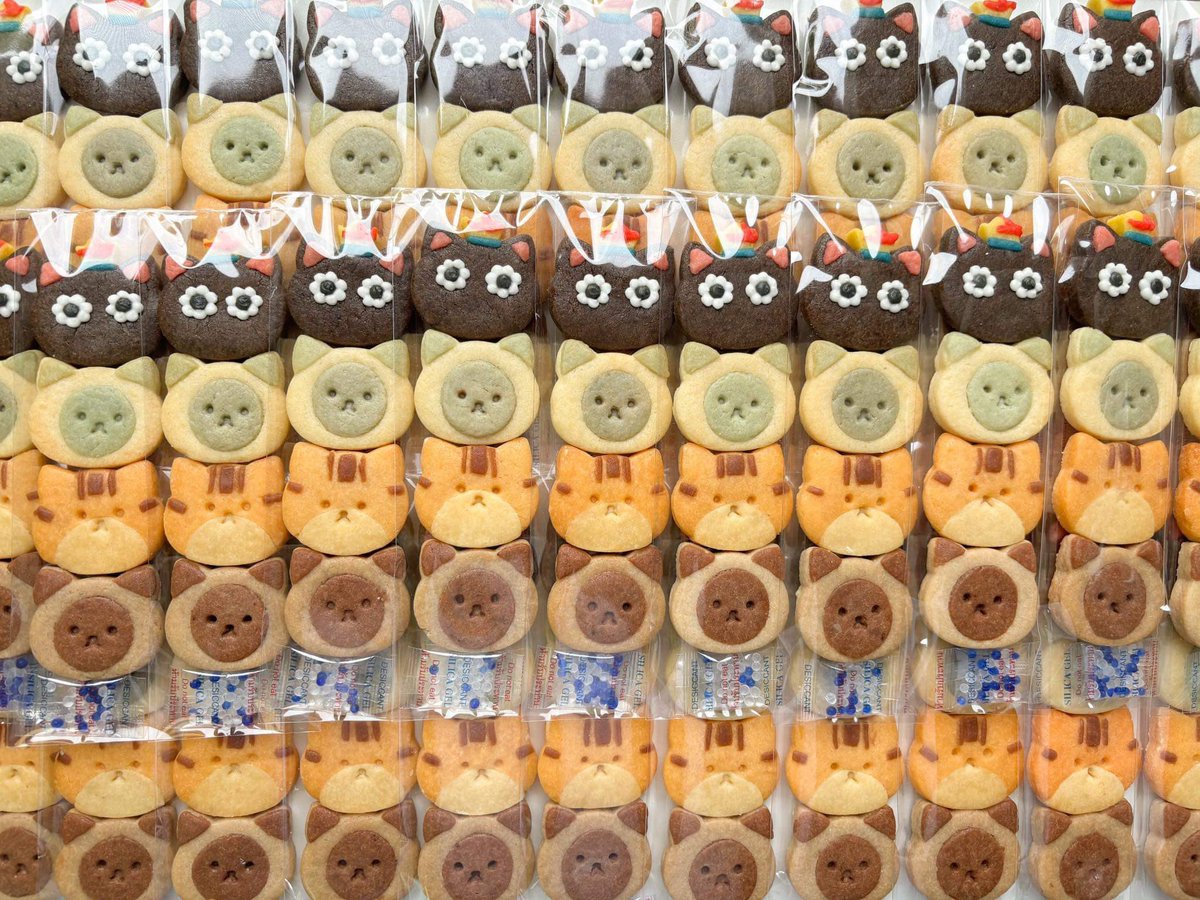 Openorange4's tweet image. Please kindly rt ☺️🙏
.
Giveaway Cookie set Canale +3L (50 set) 
𝗕𝗔𝗡𝗢𝗕𝗔𝗚𝗜 𝗚𝗟𝗢𝗪 𝗪/ 𝗧𝗘𝗡

date : 06 Jul
location : Paragon Hall
time: ตั้งแต่ช่วงเที่ยง

ไม่มีเวลาวาดกอว ใหม่ๆ เลยสั่งร้านเดิมถ่ายรูปมาให้น่ารักสุดๆ🍪🥹✨
แลก dm ค่าา

#BANOBAGIXTEN
#BANOBAGIGlowWithTEN