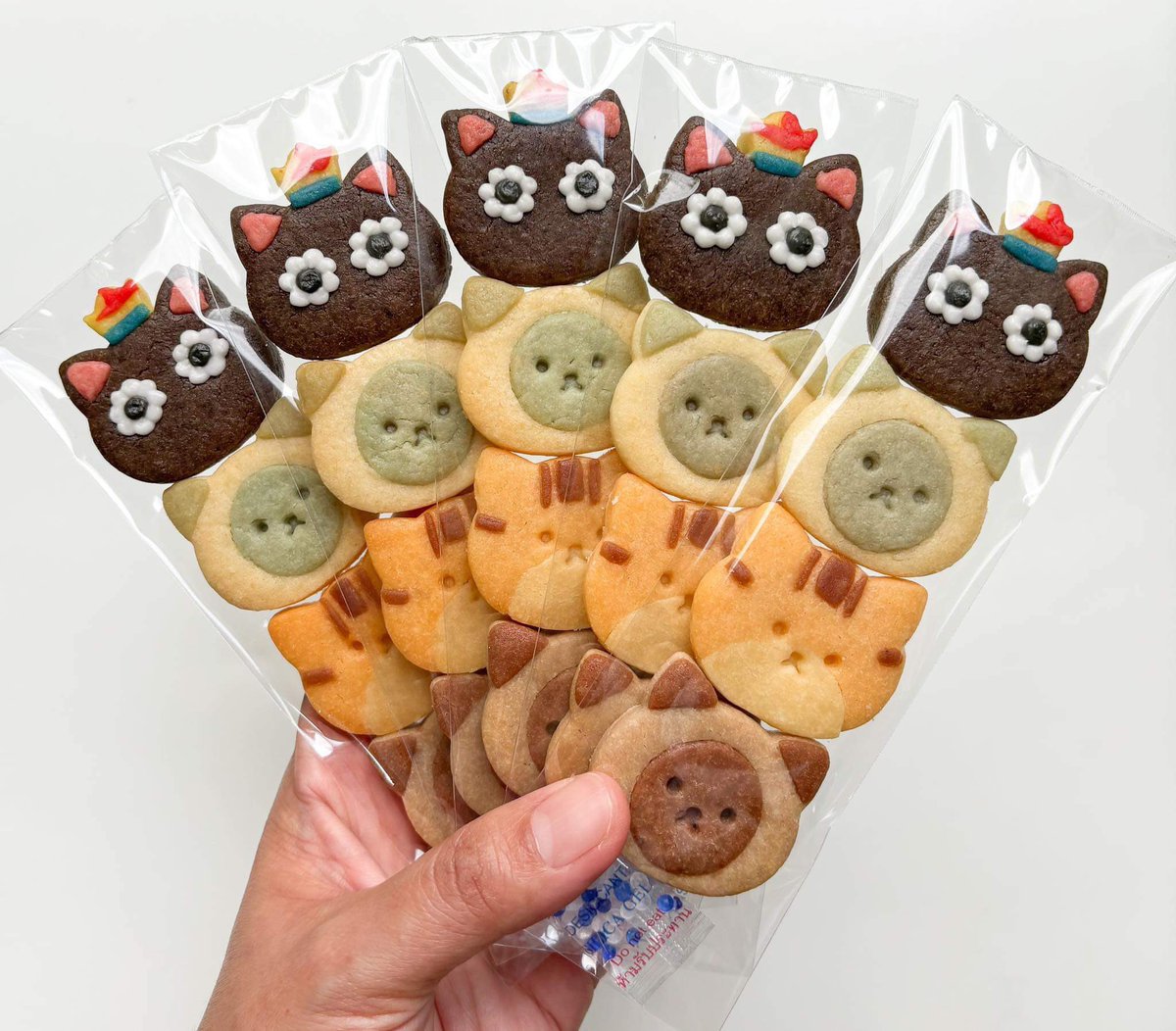 Openorange4's tweet image. Please kindly rt ☺️🙏
.
Giveaway Cookie set Canale +3L (50 set) 
𝗕𝗔𝗡𝗢𝗕𝗔𝗚𝗜 𝗚𝗟𝗢𝗪 𝗪/ 𝗧𝗘𝗡

date : 06 Jul
location : Paragon Hall
time: ตั้งแต่ช่วงเที่ยง

ไม่มีเวลาวาดกอว ใหม่ๆ เลยสั่งร้านเดิมถ่ายรูปมาให้น่ารักสุดๆ🍪🥹✨
แลก dm ค่าา

#BANOBAGIXTEN
#BANOBAGIGlowWithTEN