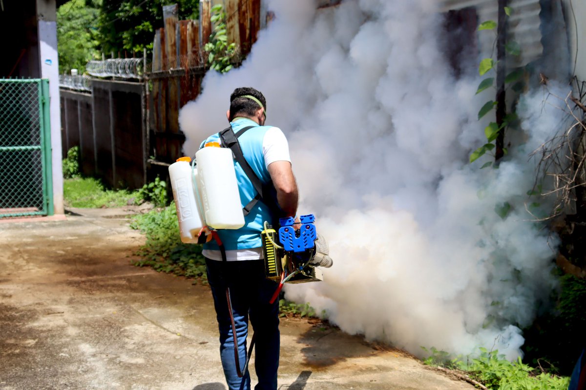 En el distrito de Sensuntepeque, #CabañasEste, nuestro estructura de Nuevas Ideas realizó una jornada de fumigación y abatización, para erradicar el zancudo transmisor del dengue y otras enfermedades.

Seguimos luchando de la mano con nuestro presidente <a href="/nayibbukele/">Nayib Bukele</a> 🇸🇻