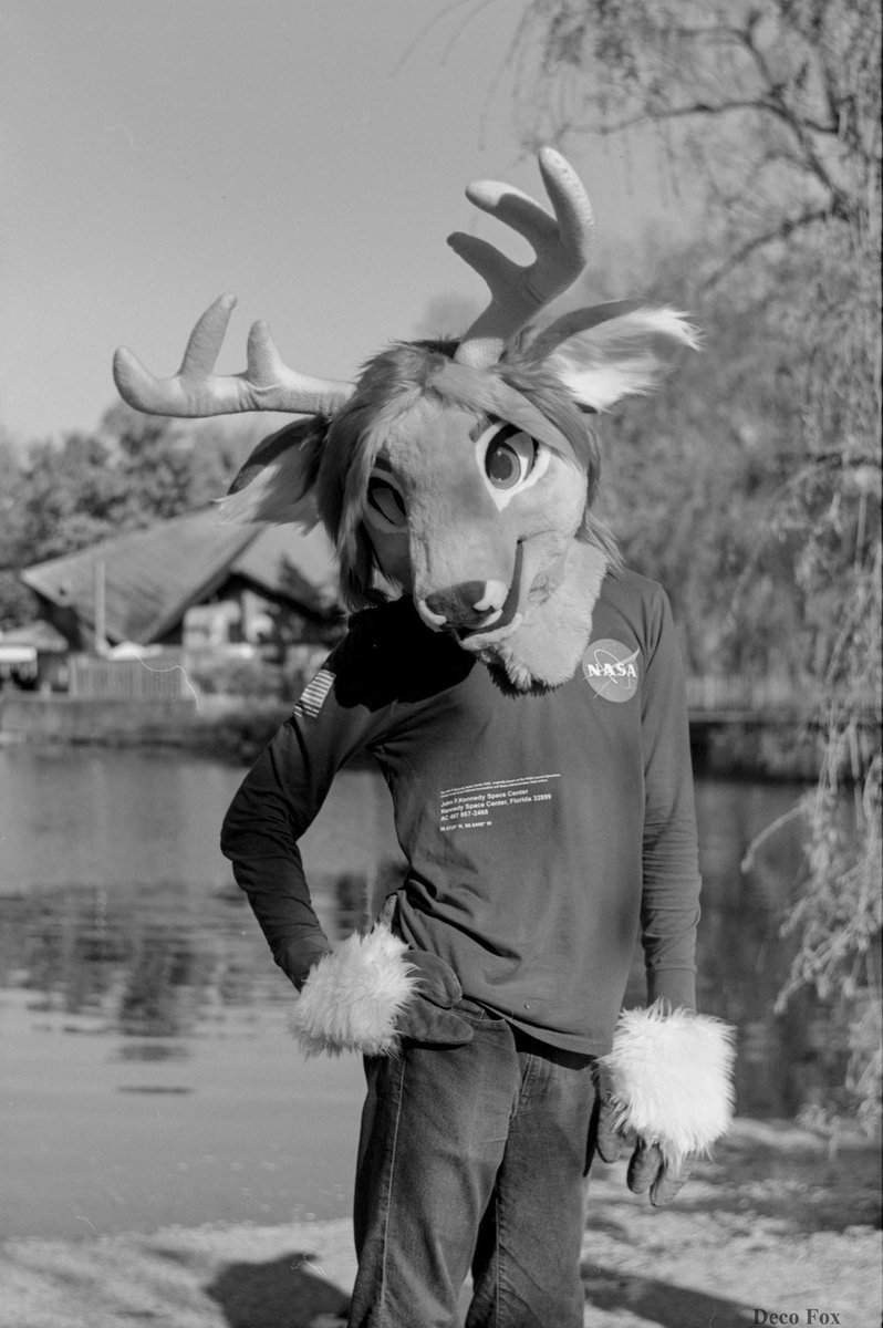 Couldn't think of a Fursuit Friday pic lol, so here's a cool pic <a href="/DecoFox2/">Deco Fox</a> got of me cx

#FursuitFriday