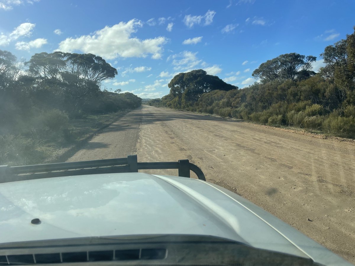 Mark Modra tweet media