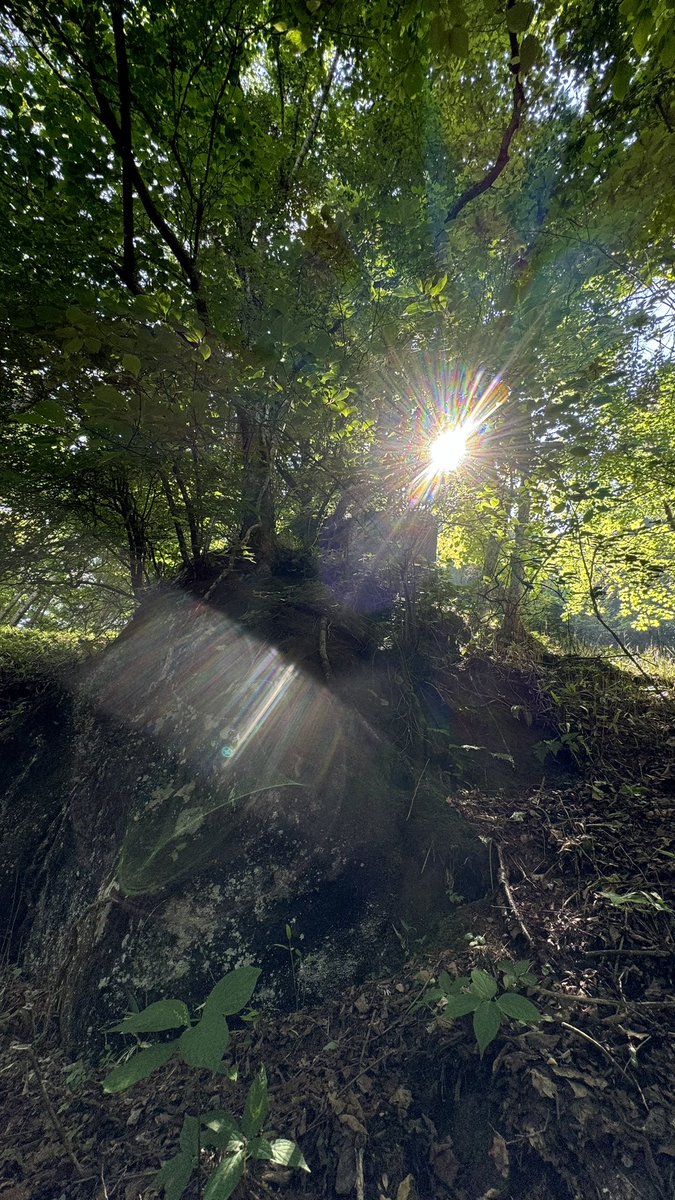 群馬県、長野県の往復
もーそろ終わり💨

鹿は見たけどクマは、見てない
