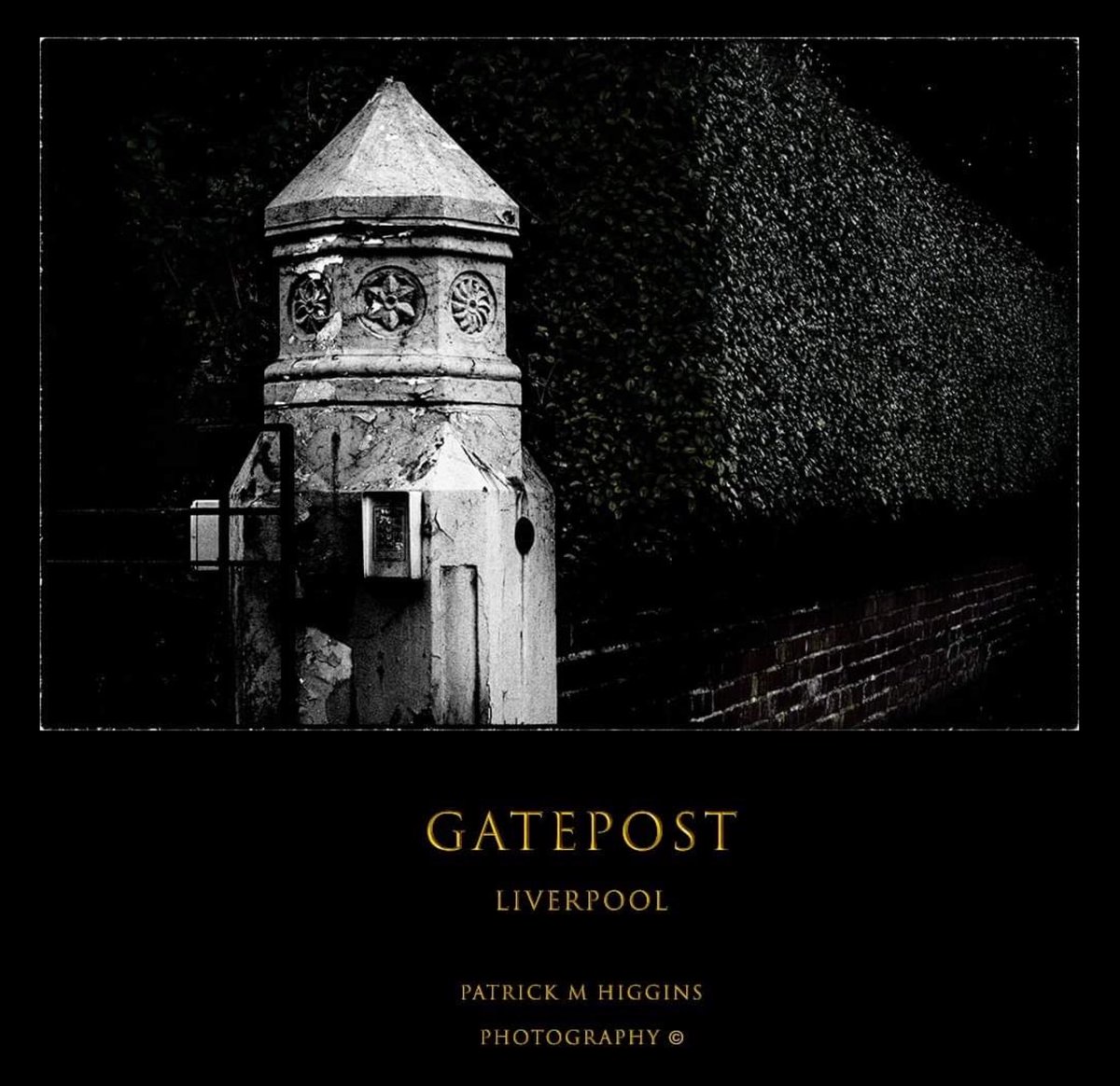 PatrickMHiggins's tweet image. Gatepost. @patrickmhiggins #gatepost #victorian #seftonpark #liverpool #entrance #bnw #bnwphotography #bnwhistory #street #streetphotography #pastwealth #localhistory