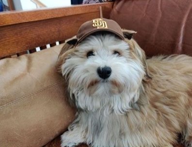 Milemarker4's tweet photo. #PadresPets https://t.co/ldlvP0tYui