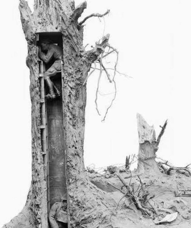 temposhistorico's tweet photo. Soldados camuflados em uma árvore oca, usada para observar posições inimigas durante a Primeira Guerra Mundial - Fotografia de 1915

#history #historia #ww1 #war https://t.co/7UE0ylmW4n