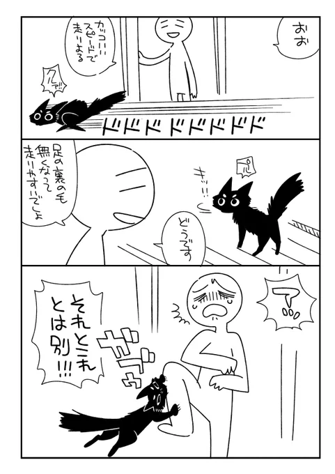 足の裏の毛が無くなって快適な走りを楽しんでいるが、それはそれとして足の裏の毛を刈り取った人間のことは許さないねこです