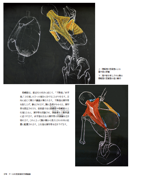 ドーロの美術解剖学 講義録 加藤公太訳 PR］【8月新刊】 ドーロの美術