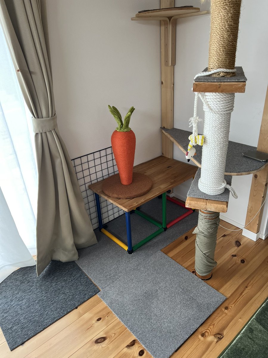 部屋ににんじん刺さってるのなかなかええやん