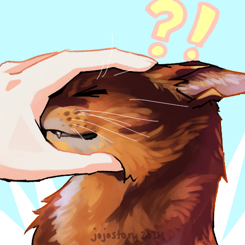 do you ever just put your hand over your cat's face