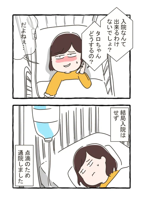 4/6 