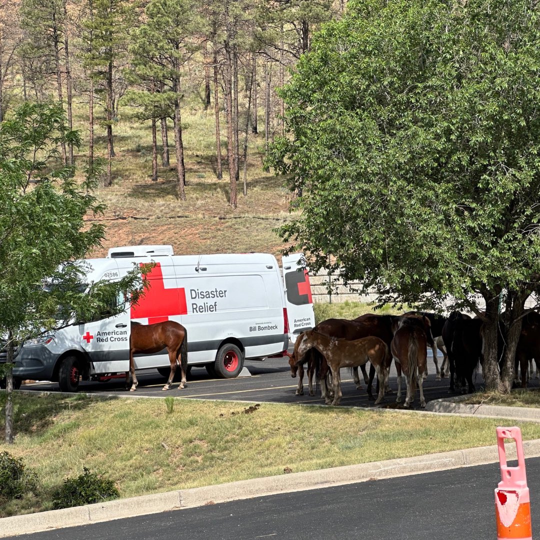 Serving the mission of the Red Cross is a privilege. The power of neighbors helping neighbors is real, especially when families and small business owners are impacted by disasters. The community in Ruidoso, New Mexico lost many homes due to fatal wildfires and back-to-back
