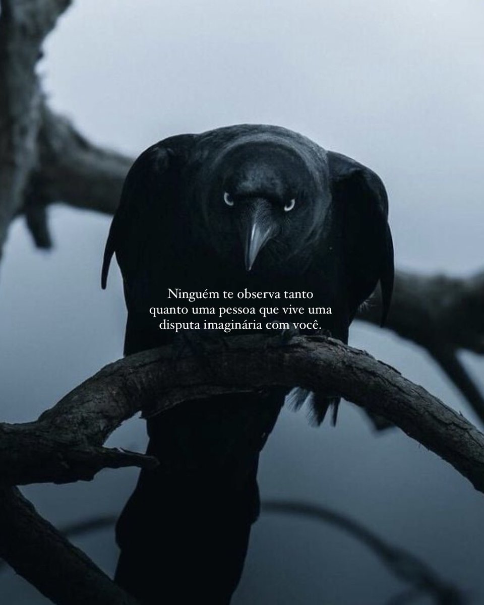 filosofia de poder tweet media