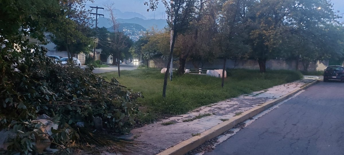 JerryGzz68's tweet photo. @Cicmty @ServPublicosMty #Parquedescuidado con basura orgánica y falta mantto. Deshierve ub
calle Barranquilla x Jamaica, col. Alta Vista #Monterrey 64840 https://t.co/uYWsQcP153