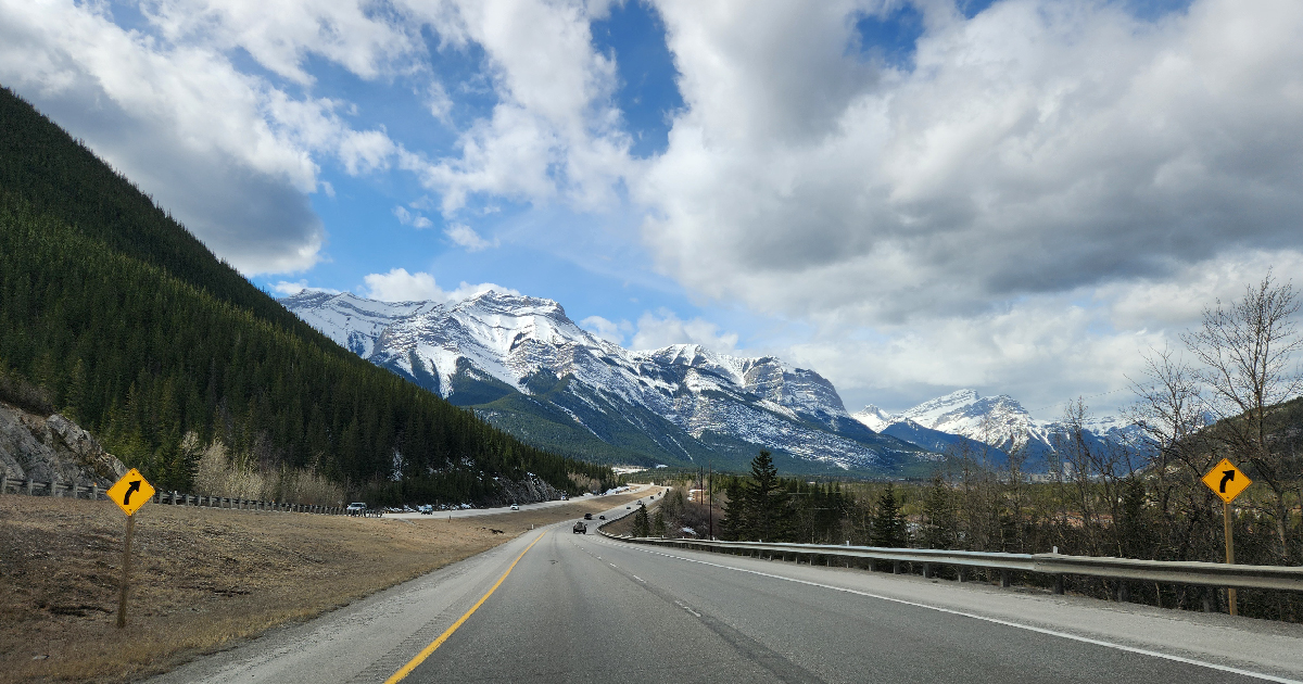RTBTours's tweet photo. We offer a variety of services customized to fit your needs, including daylong excursions to #Drumheller or #Banff, private tours, wedding shuttles, airport transfers, &amp; much more. Please contact us for any of your charter inquiries. https://t.co/5HGNzybabr https://t.co/LjRtg1KV9p