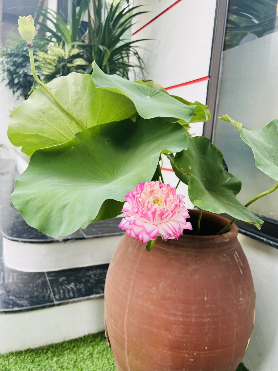 Good morning 
Wishing all a fun weekend❤️❤️❤️