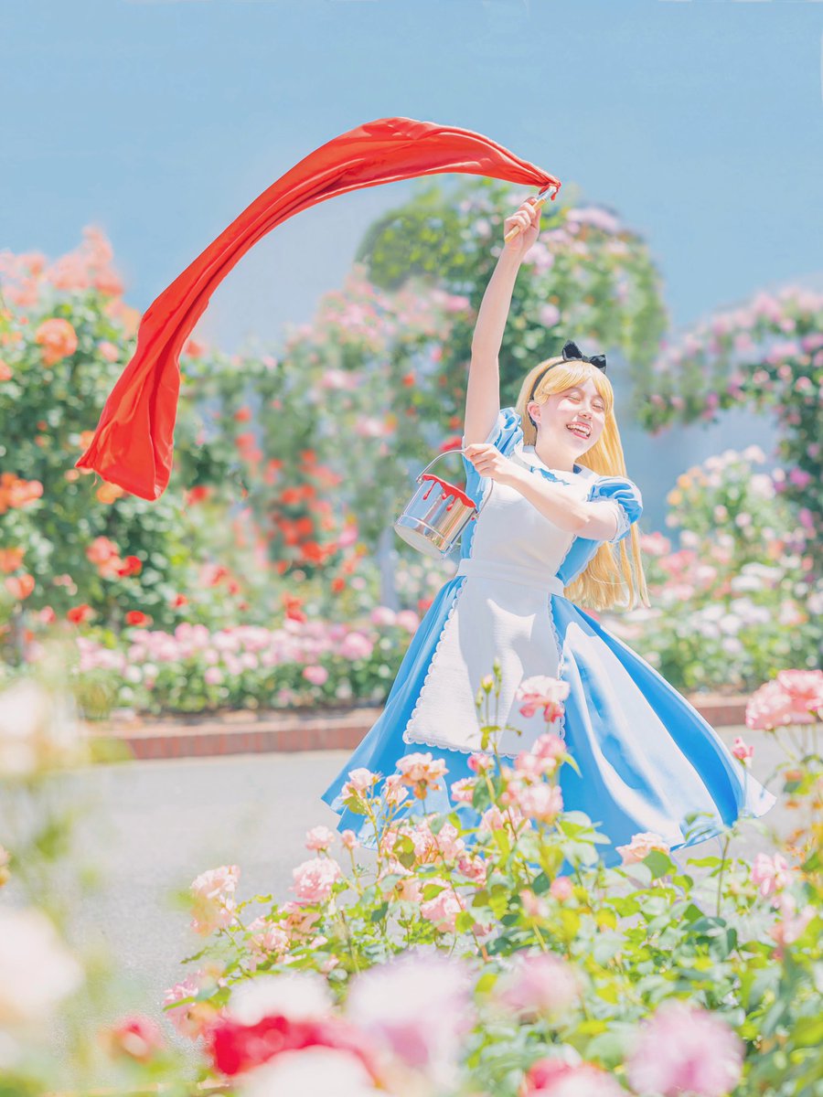 Ako_lice's tweet photo. ふしぎの国のアリス❤️仮装
┈┈┈┈┈┈┈┈┈┈┈┈┈┈┈┈┈┈

    .•♬薔薇の花を赤く塗ろうよ
            大事な秘密がばれぬように

┈┈┈┈┈┈┈┈┈┈┈┈┈┈┈┈┈┈ https://t.co/VTIAueGW5O