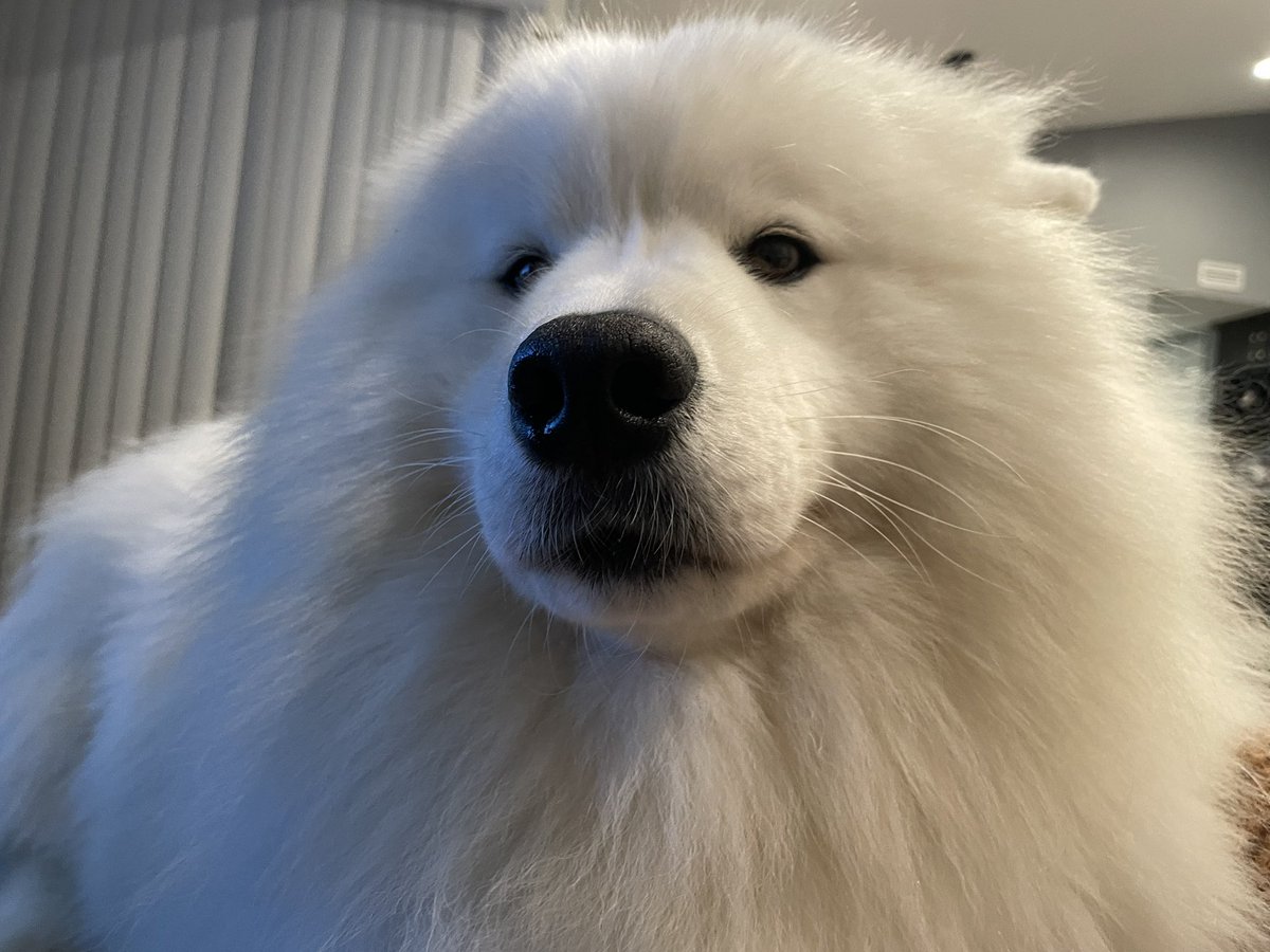 Beautiful cabin crew 🌹 
Scarlett Johansson 💋 💋