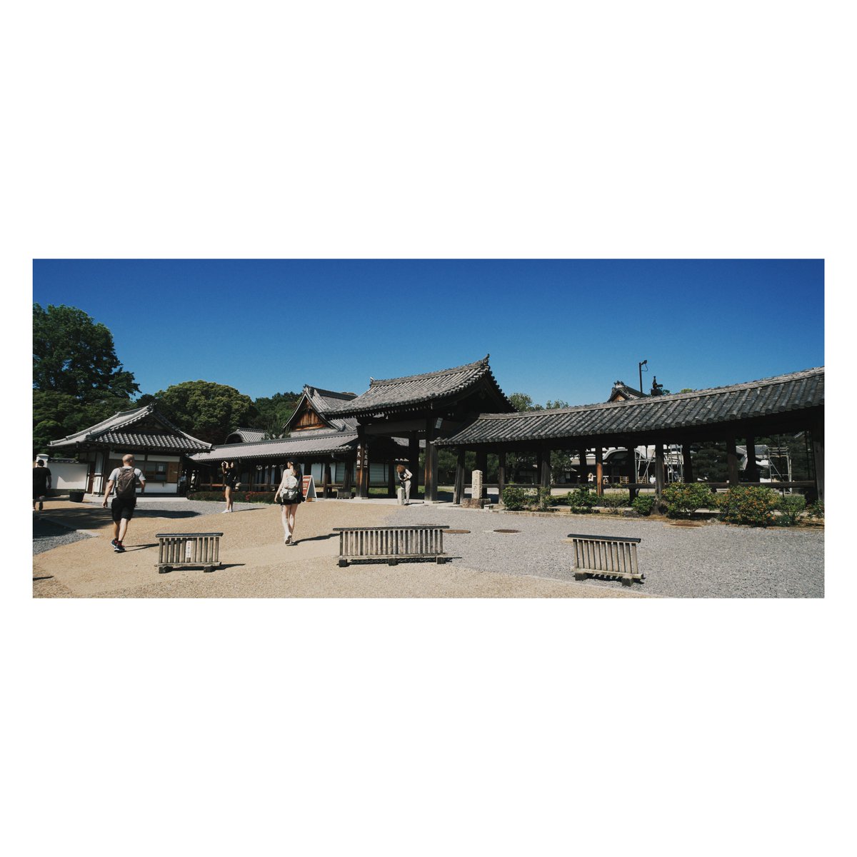 JFHGroup's tweet photo. Tofuku-Ji : Kyoto
📷Fujifilm XE1
สนใจสั่งซื้อกล้องฟิล์ม ลิ้งในช่องคอมเม้น 👇
#fineartphotography
#asmr #art #vsco #street #cafe #eFilm #kodak #Shorts #reels #fuji #streetphotography #rnifilms https://t.co/Z1bIf2e1MJ