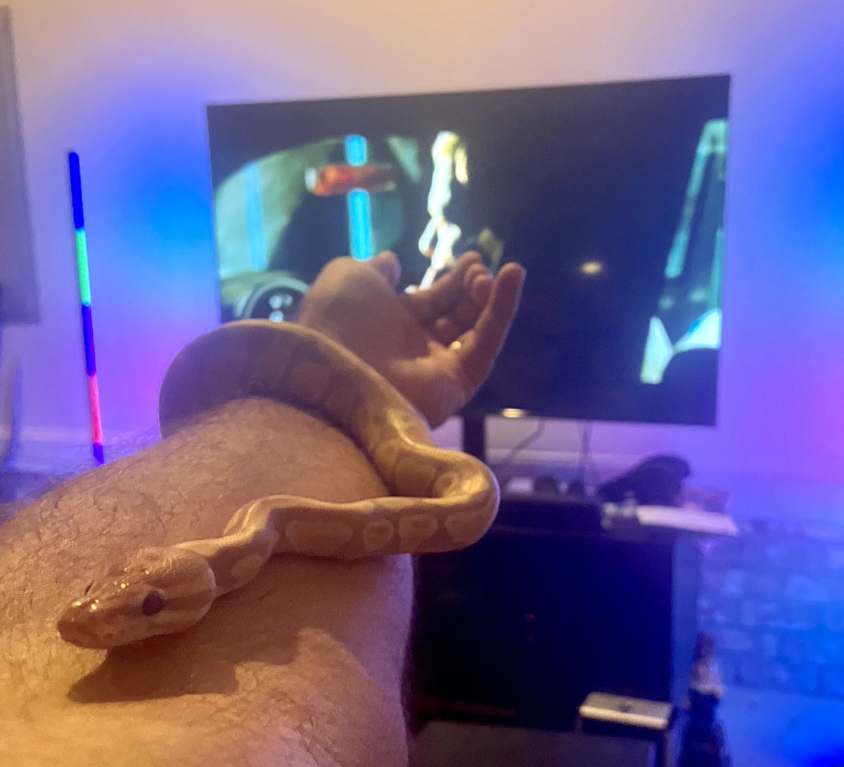 MutantSquatch's tweet photo. Watching another amazing episode of #TheLastDriveIn with my newest buddy, Nanabite.  Thanks @therealjoebob @kinky_horror @shudder for another amazing Friday night.  #Mutantfam https://t.co/rxhNyh1v4U