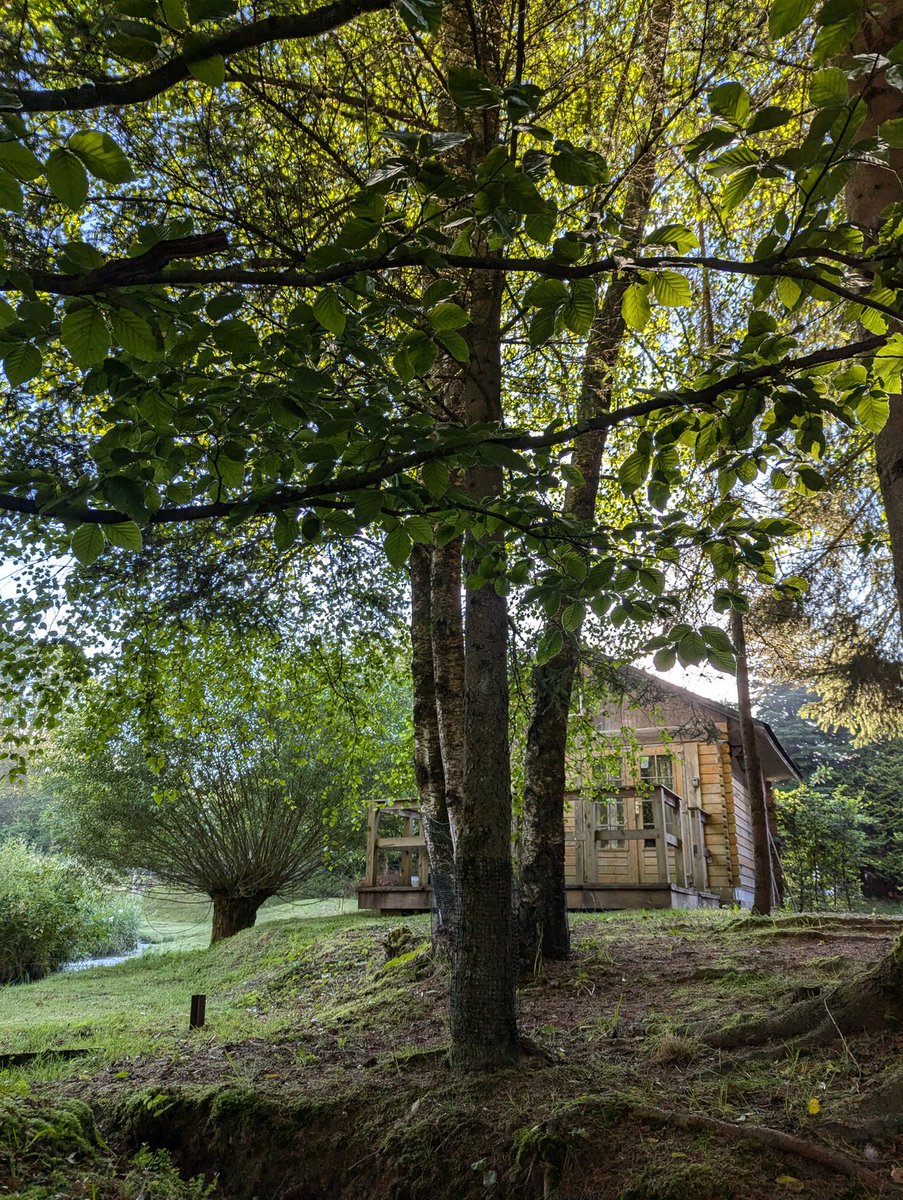 Morgens, 7.30 Uhr, in den #Ardennen - ich freu mich auf die Tour heute 🥰